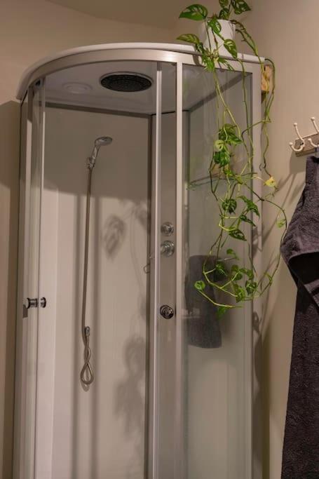 Apartment An
